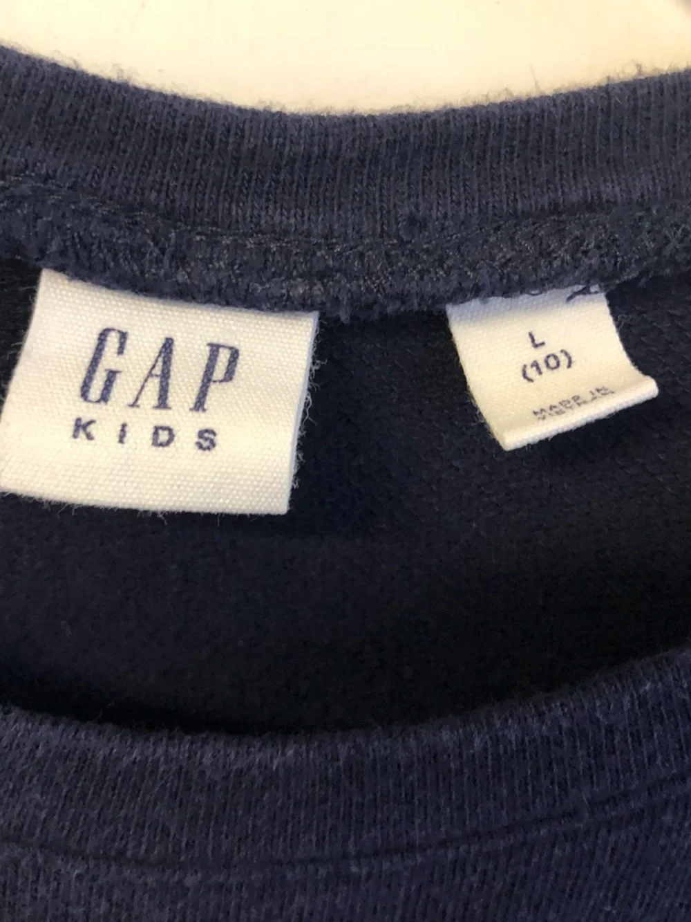 GAP girls size 10 Navy Dress with Pink Rose Embroidery